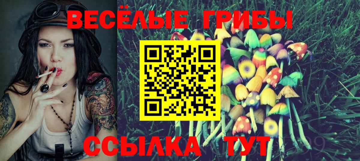 Галлюциногенные грибы мицелий  Вход с VPN  цены наркотик  Саратов  Галлюциногенные грибы GOLDEN TEACHER 