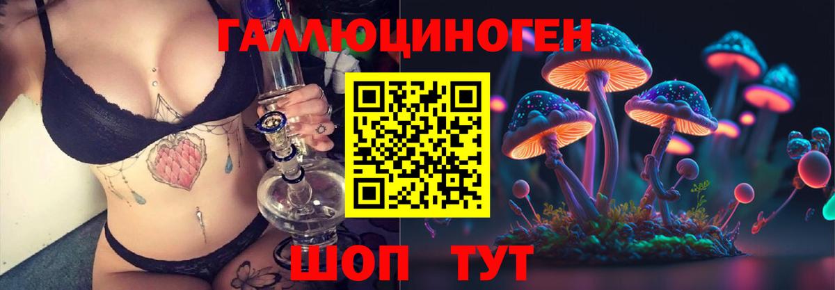 Галлюциногенные грибы Psilocybe Саратов